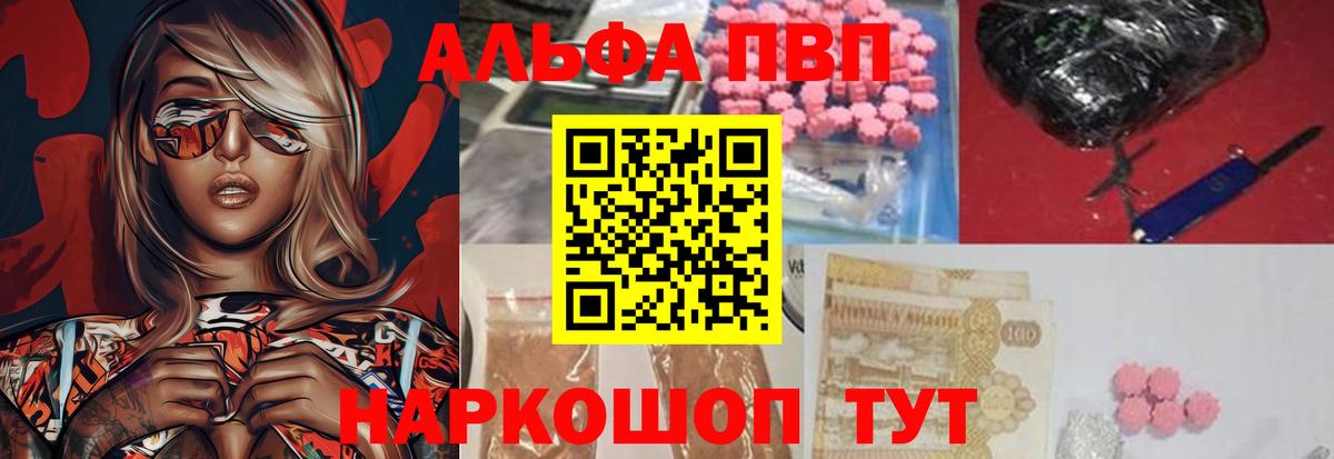 Alfa_PVP СК Черногорск