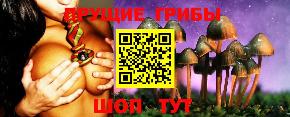 Псилоцибиновые грибы ЛСД Черногорск